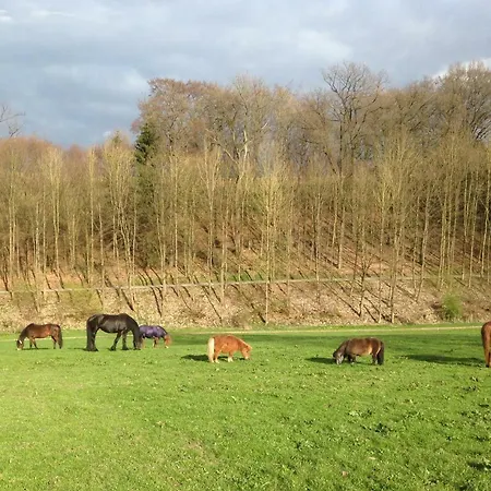 Bauernhof Heinemann Apartamento Meschede